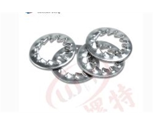 內(nèi)鋸齒鎖緊墊圈