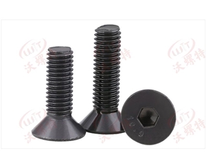 高強度螺絲.沉頭內(nèi)六角