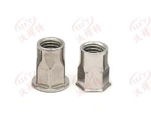 拉鉚螺母開(kāi)口六角