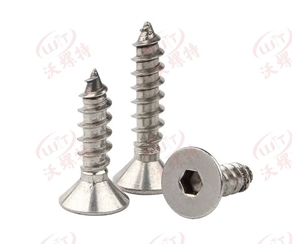 沉頭內(nèi)六角自攻