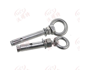 膨脹螺栓吊環(huán)型